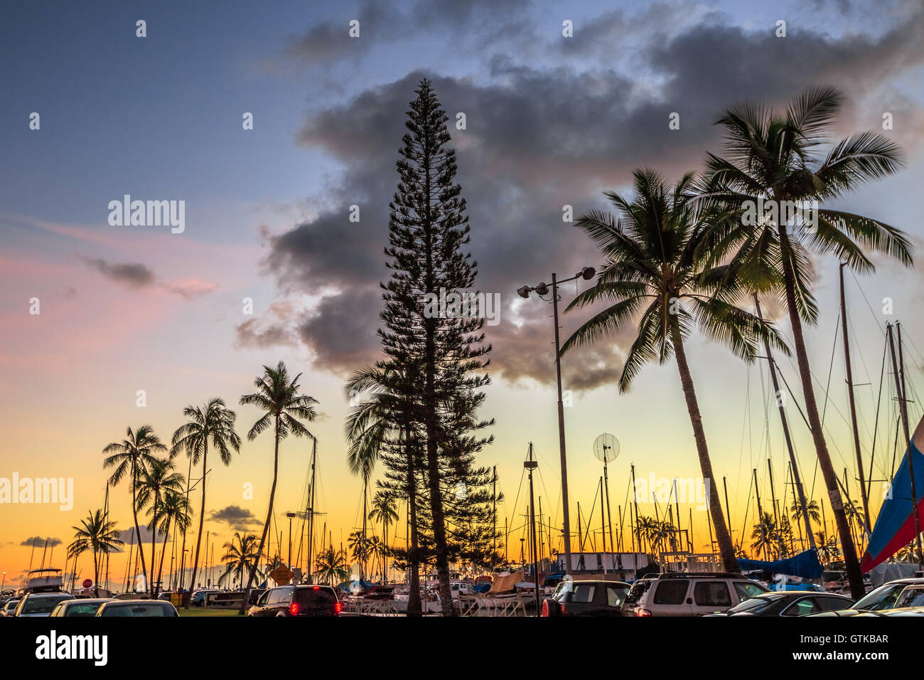 Palm trees Hawaii Stock Photo Alamy