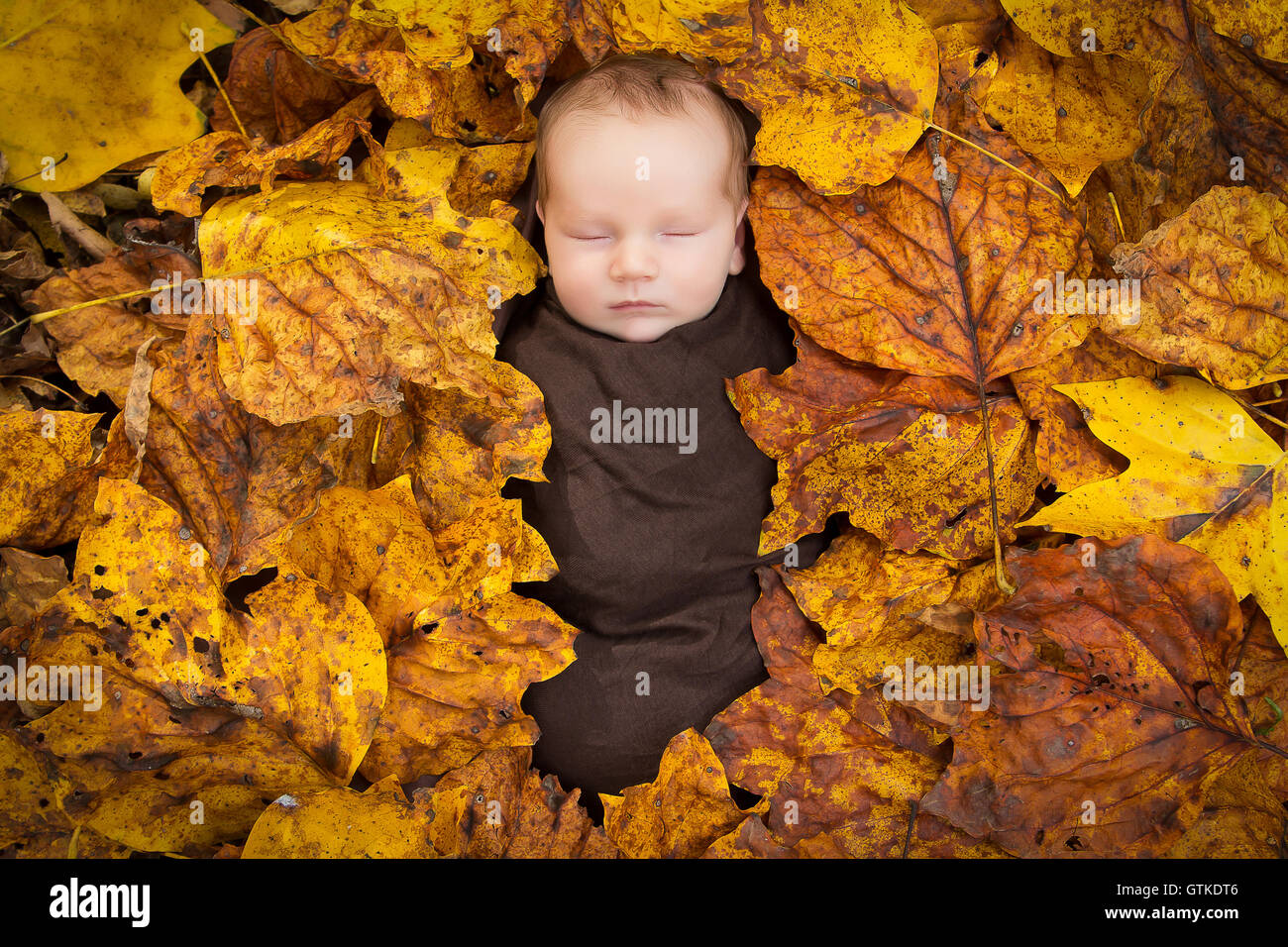 A portrait of a newborn baby wrapped in brown swaddling cloth and