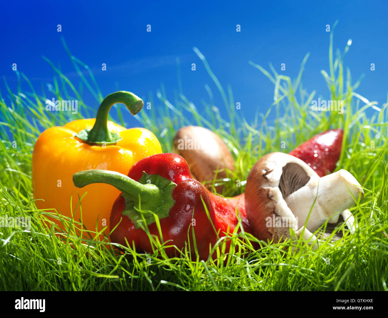 Sweet peppers and cremini mushrooms artistic food still life in green