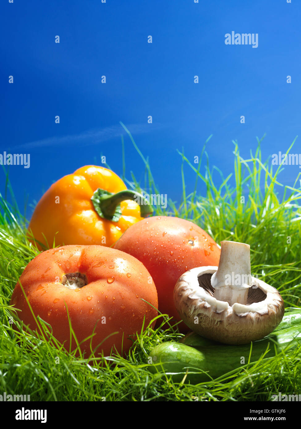Colorful fresh vegetables, field tomatoes, cremini mushrooms, pepper and cucumbers in green grass under blue sky artistic food s Stock Photo