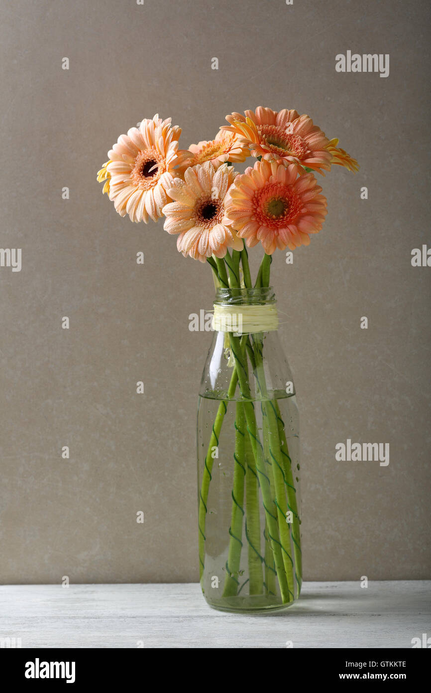 Gerbera in glass vase, flowers Stock Photo Alamy