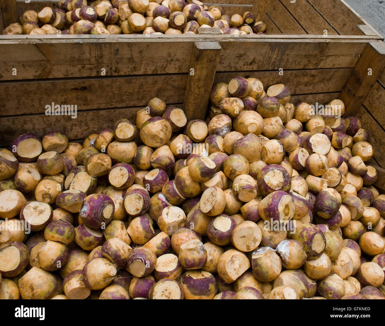 Polish farm hires stock photography and images Alamy