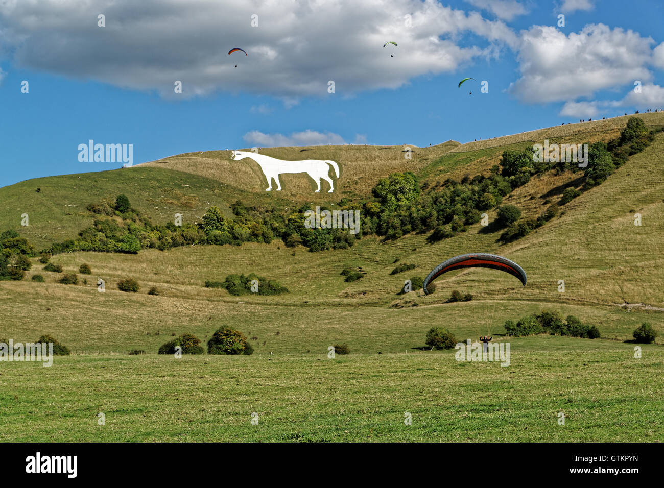 White horse at Westbury with hang gliders Stock Photo
