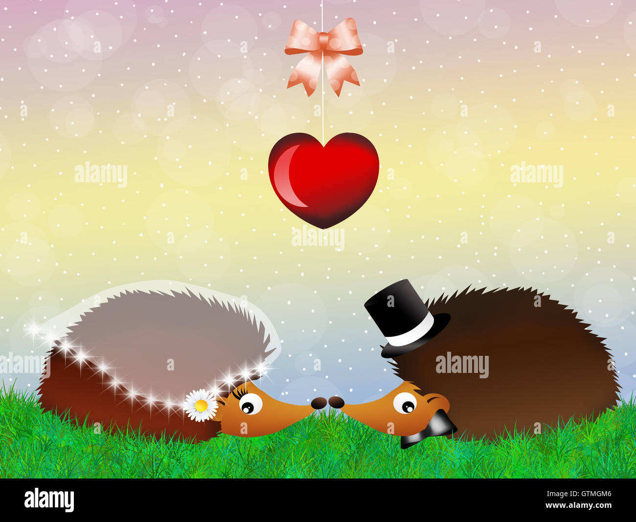 Hedgehogs in love Stock Photo Alamy