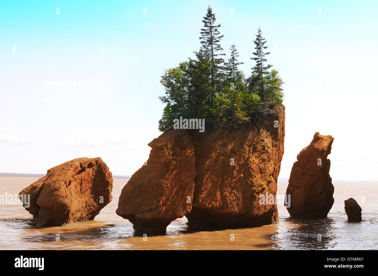 450+ Hopewell Rocks Beach Stock Photos, Pictures & Royalty-Free