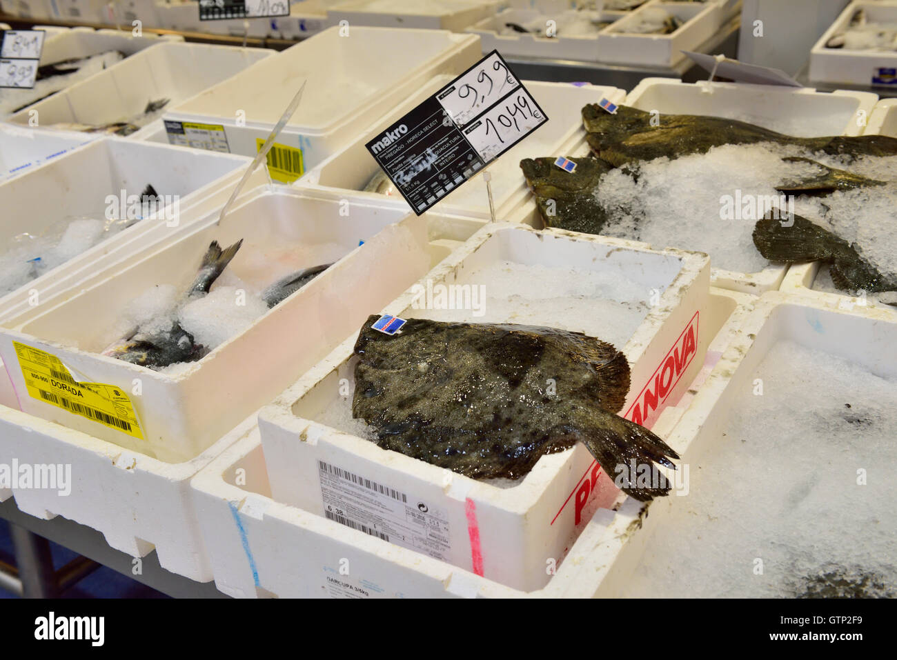 Fish for sale in Makro cash and carry store, Algarve, southern Portugal