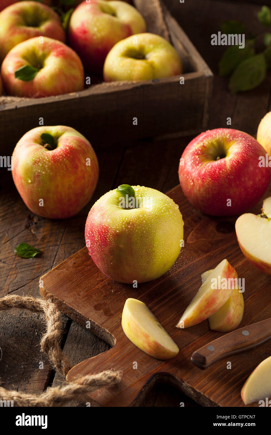 https://c8.alamy.com/comp/GTPCN7/raw-organic-honeycrisp-apples-ready-to-eat-GTPCN7.jpg