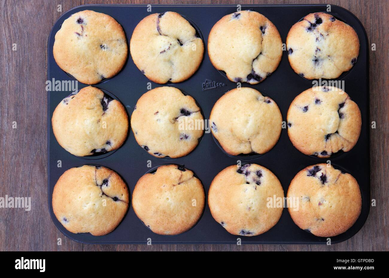 Blueberry muffins in tin Stock Photo
