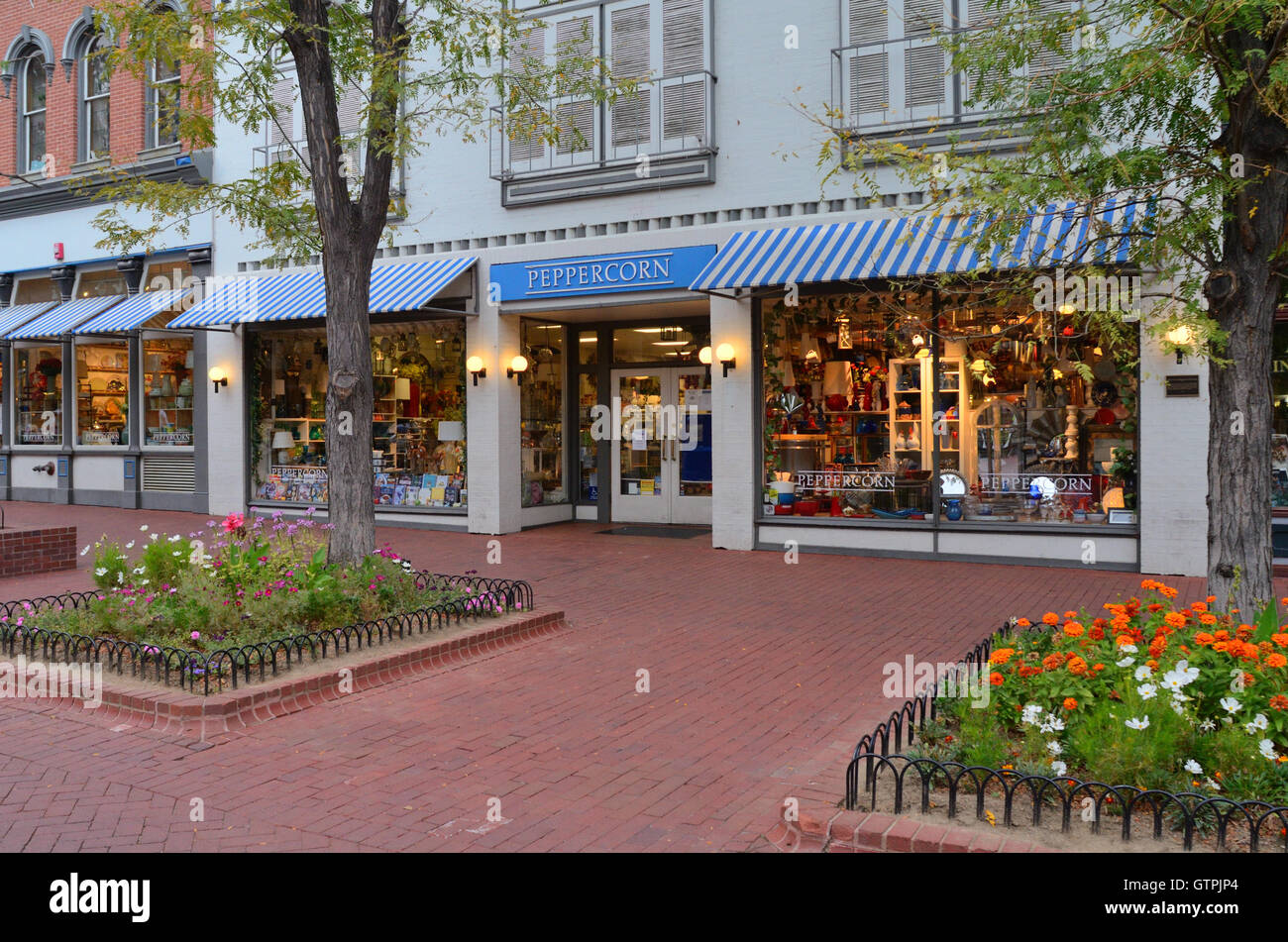 Peppercorn kitchen and dining room store Stock Photo Alamy