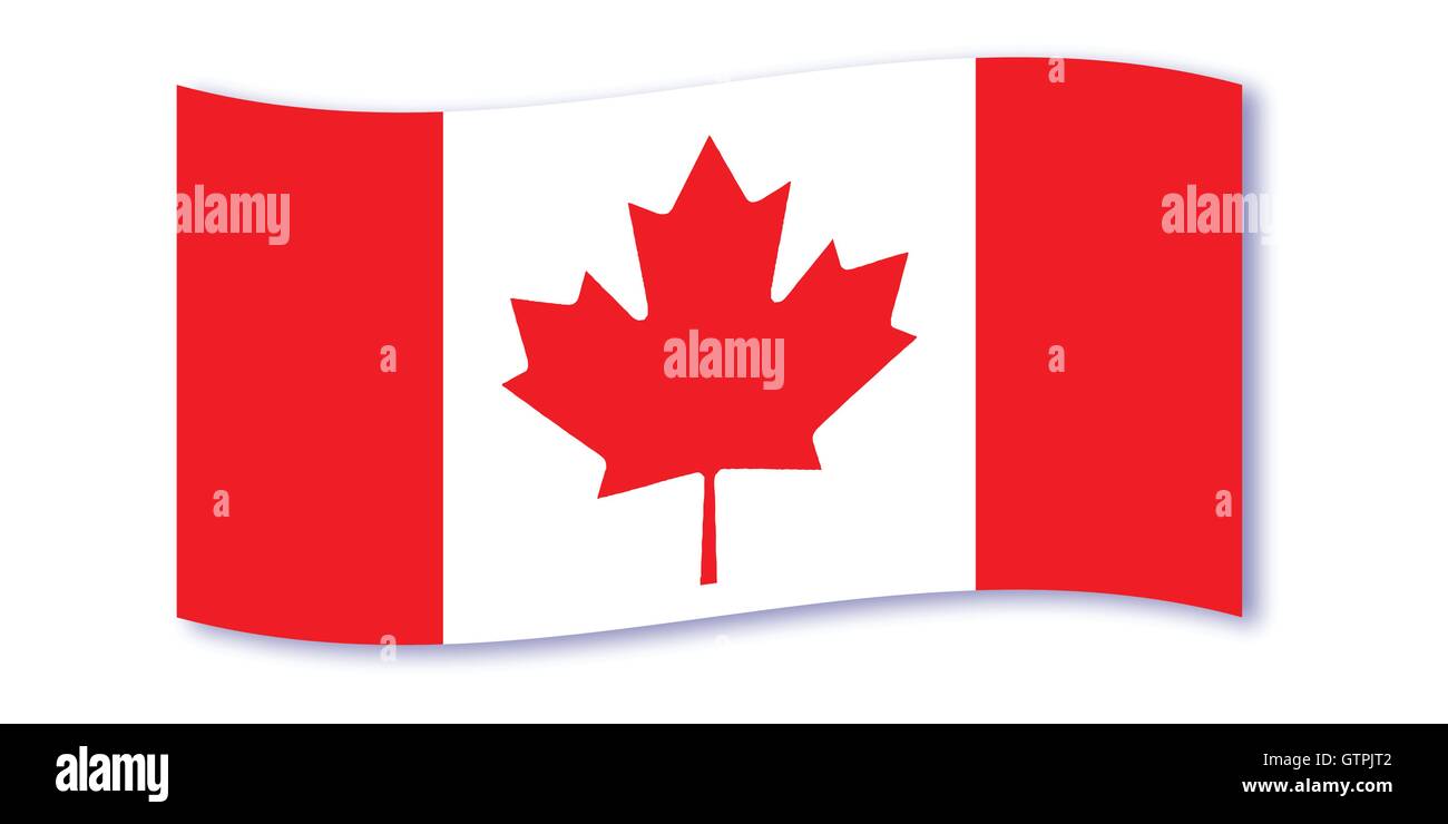 The Canadian flag waving over a white background Stock Vector Image ...