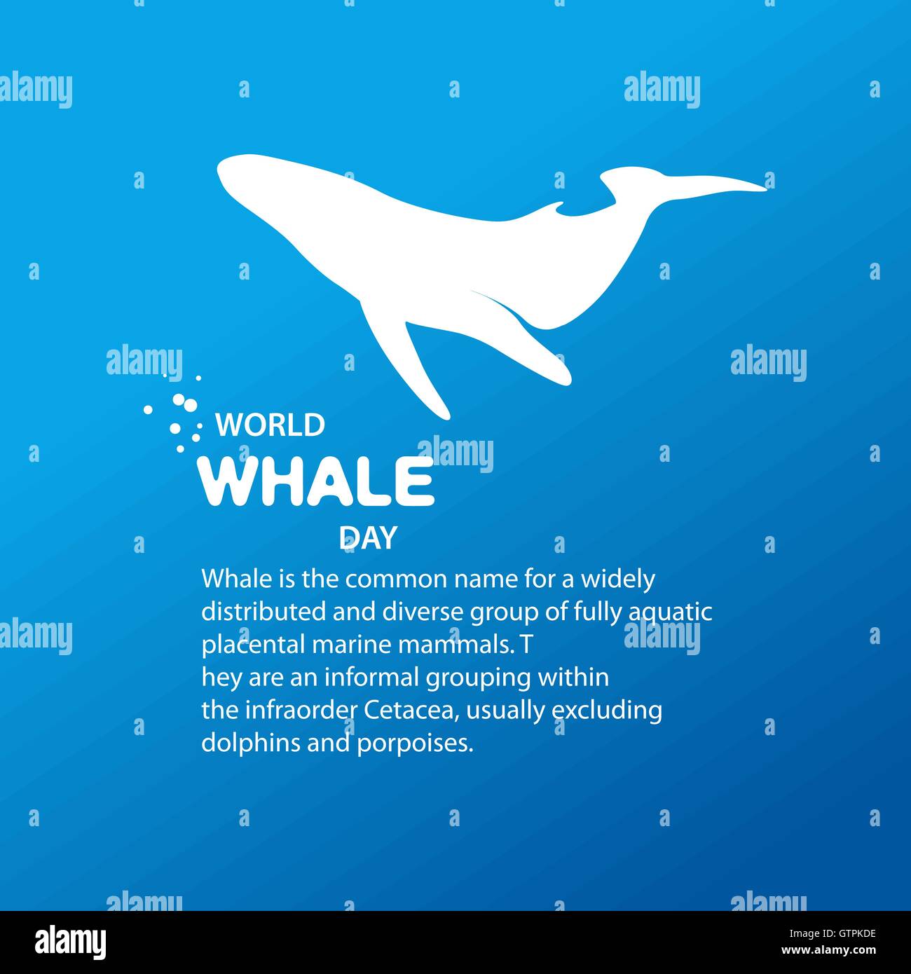 Isolated whale vector illustration. Ocean mammal on the blue background ...