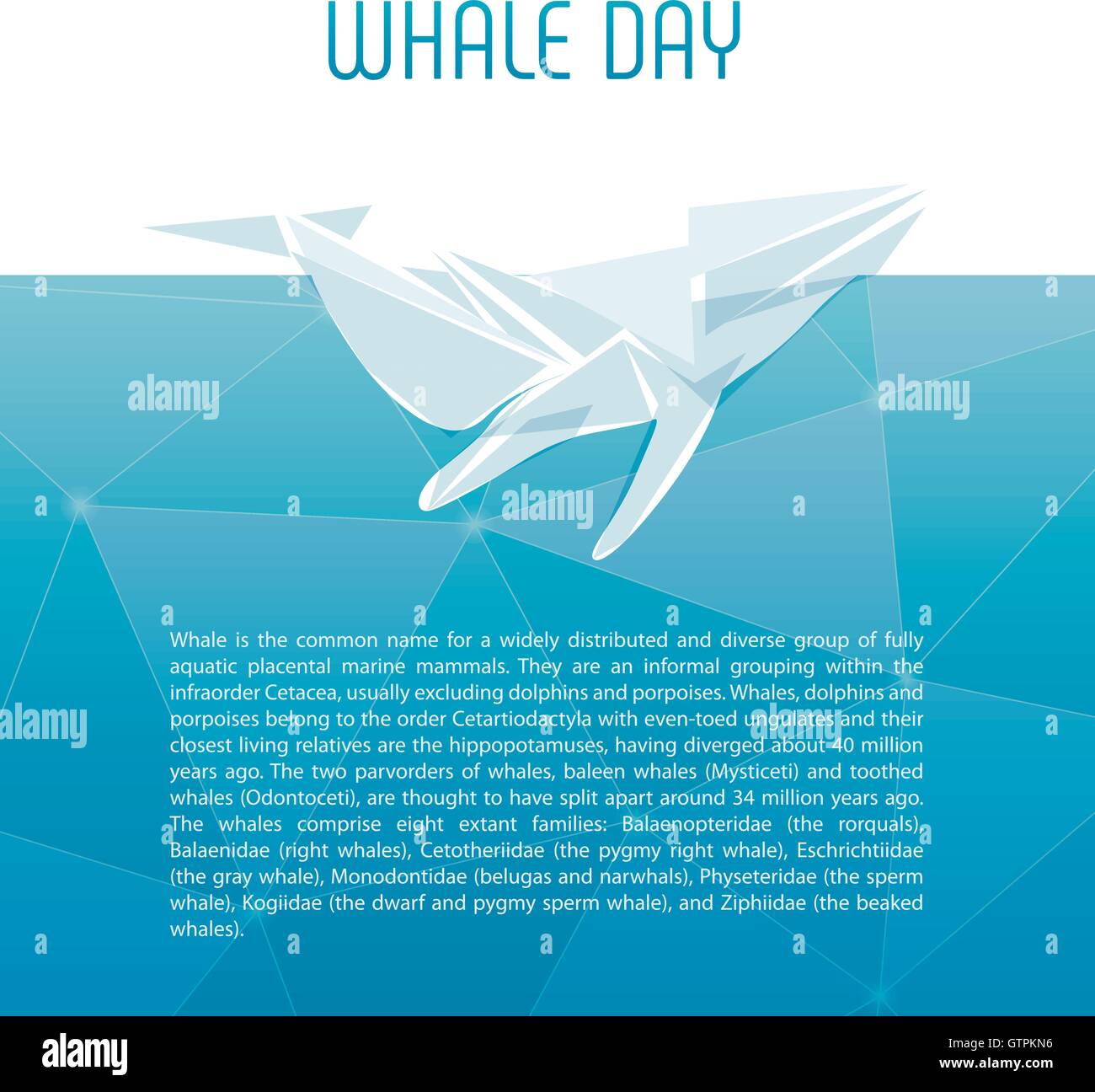 Isolated whale vector illustration. Ocean mammal on the blue background ...