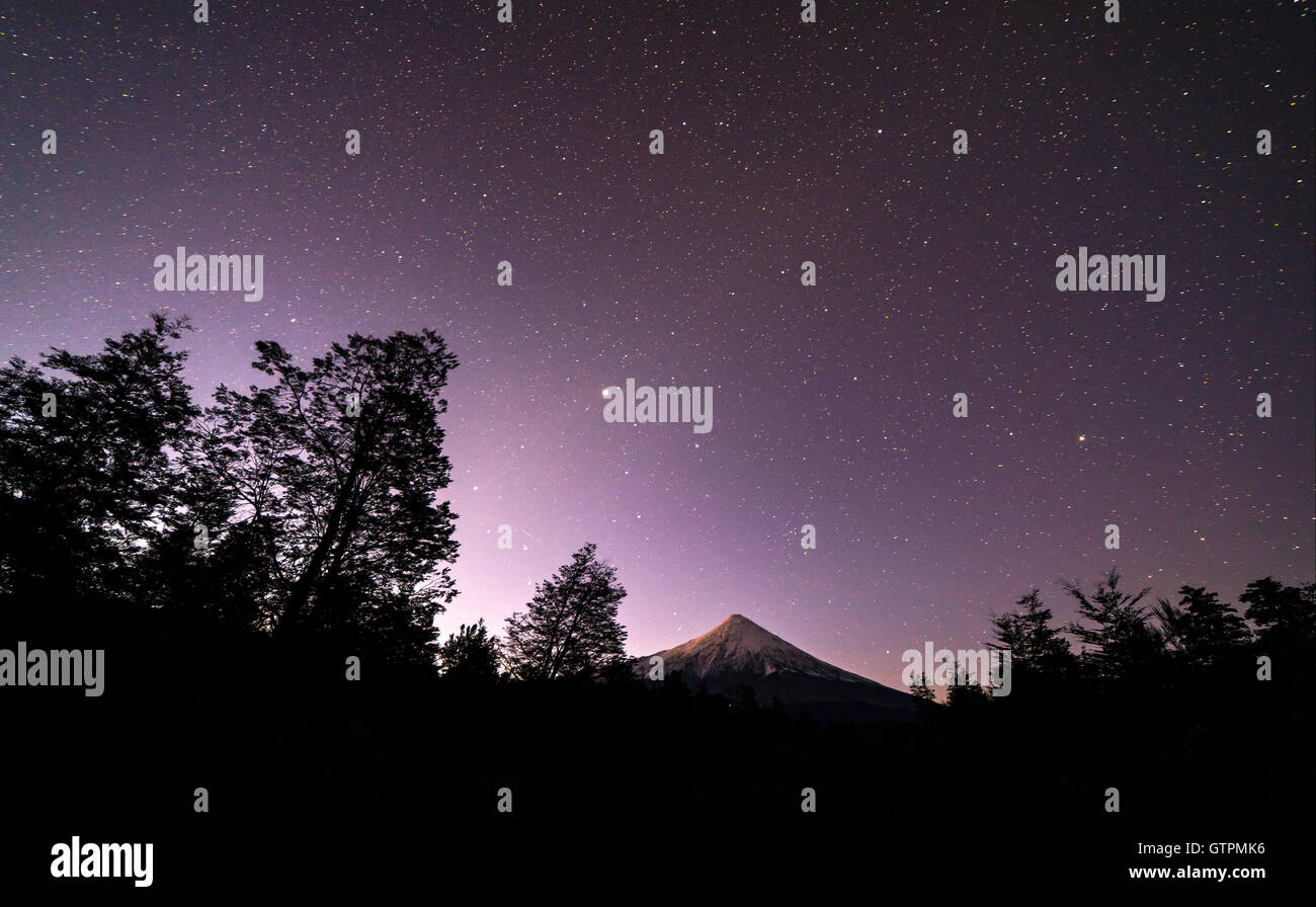 prada astronomy bolsa