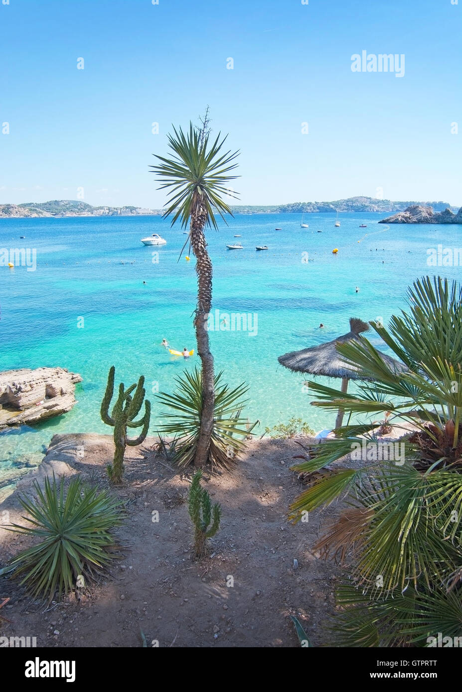 Beach succulents hi-res stock photography and images - Alamy