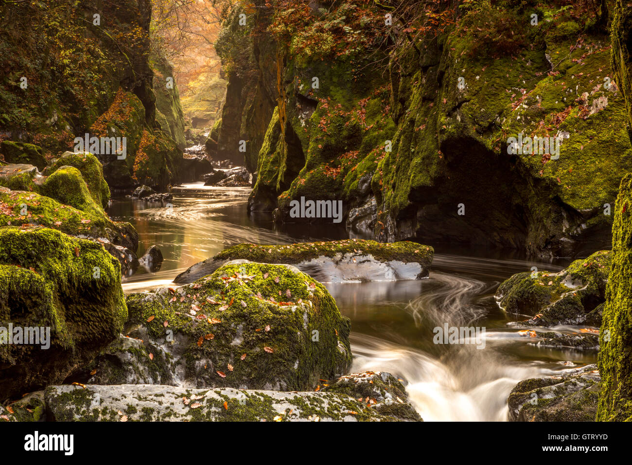 fairy glen Stock Photo Alamy