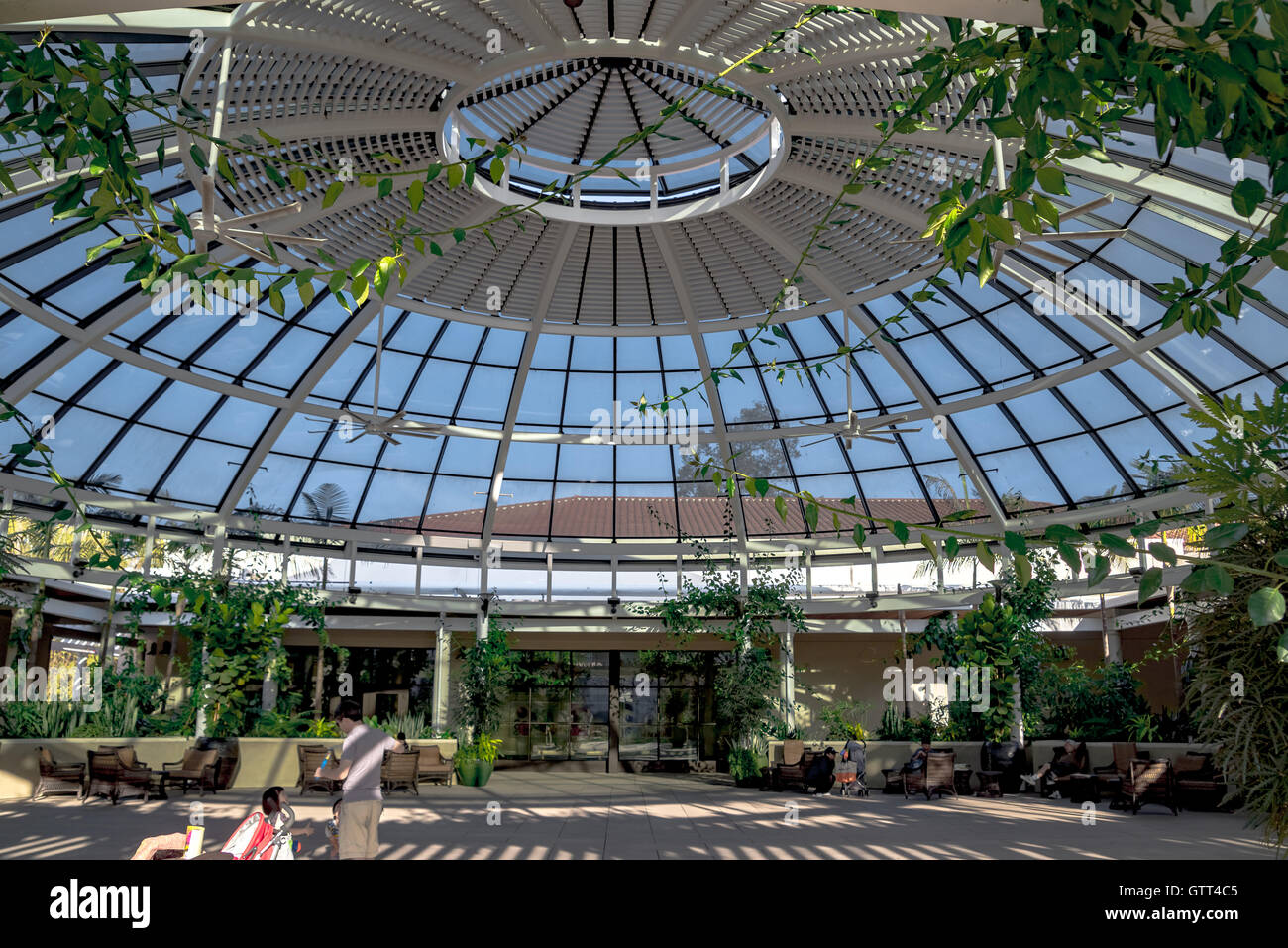 Glass dome plants hi-res stock photography and images - Alamy