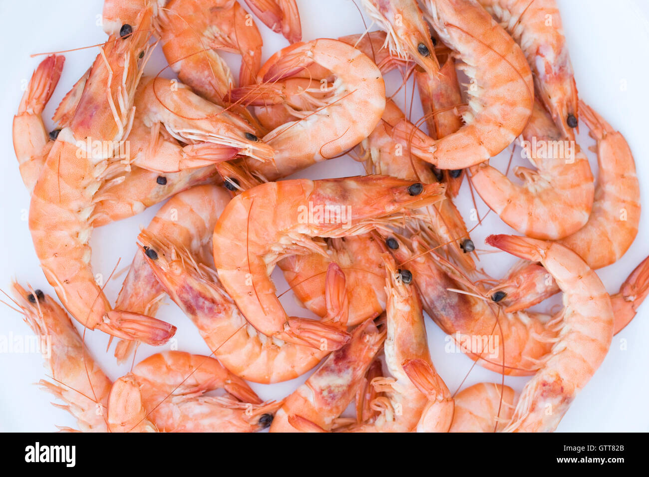 Crevettes High Resolution Stock Photography And Images Alamy