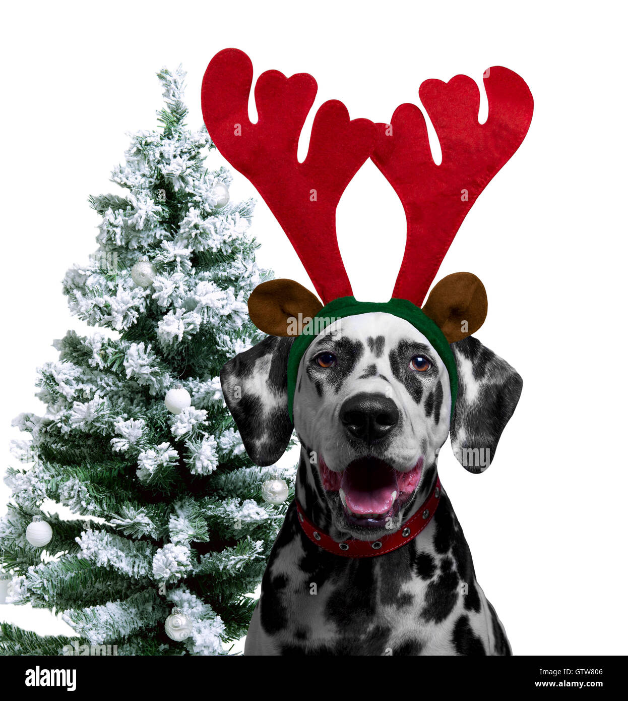 next reindeer dress