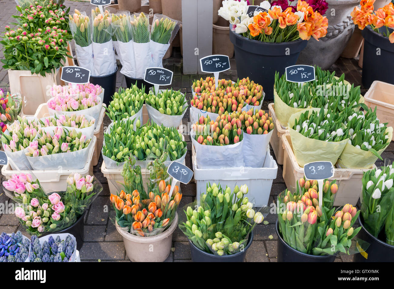 Many flower in flower market in Amsterdam, Netherlands. Flower market