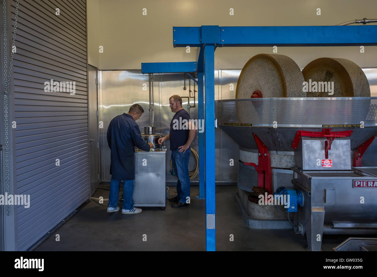 olive mill workers, tasing olive oil, Pieralisi stone grinder, Round