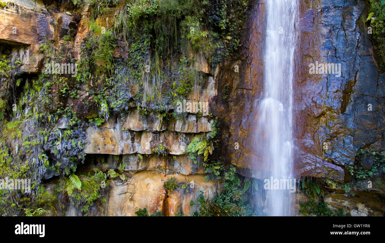 Kelly's waterfall near Helensburgh in the northern Illawarra region of NSW, Australia. Stock Photo