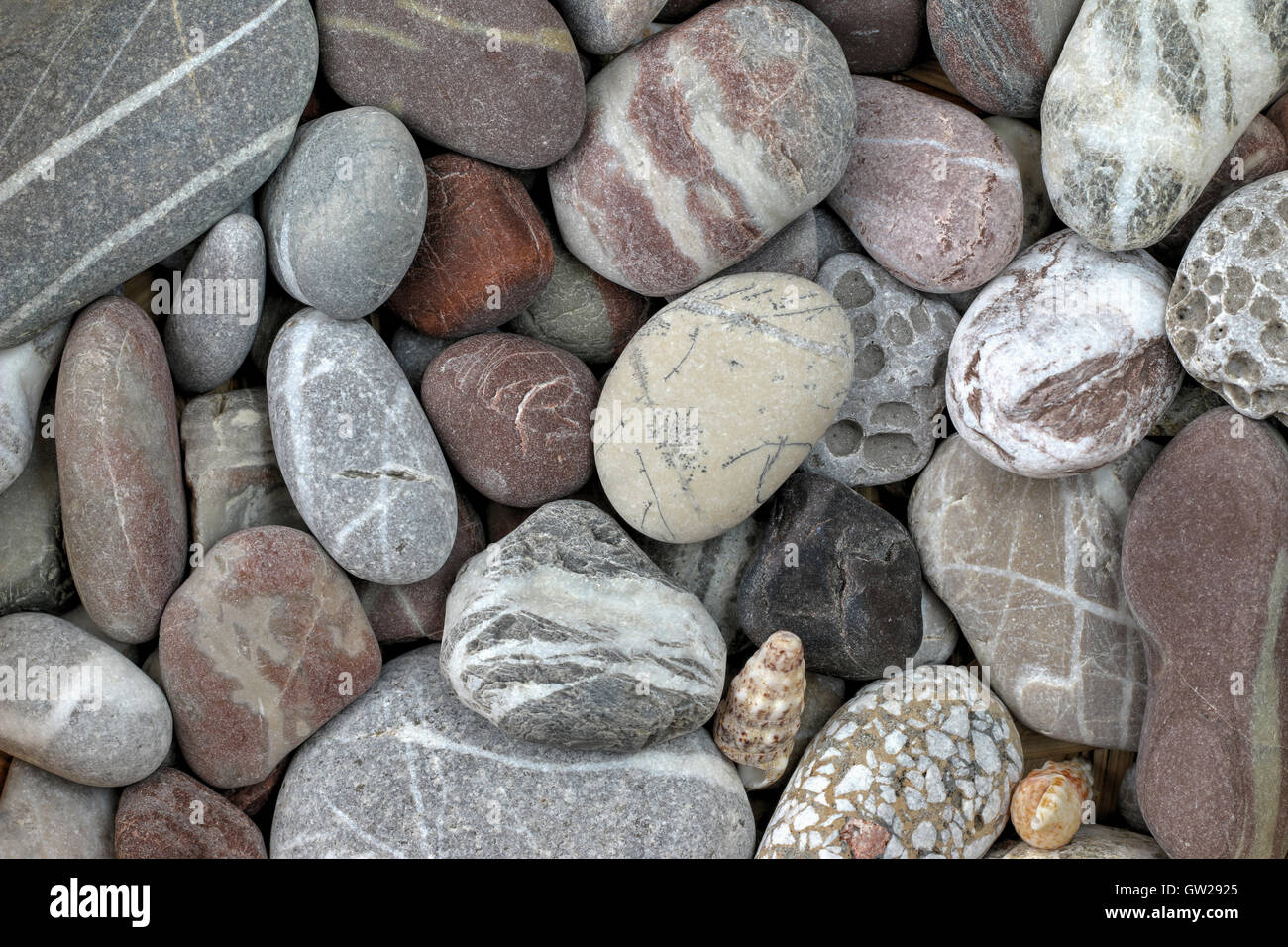 Stone background - pebbles in earth colors Stock Photo