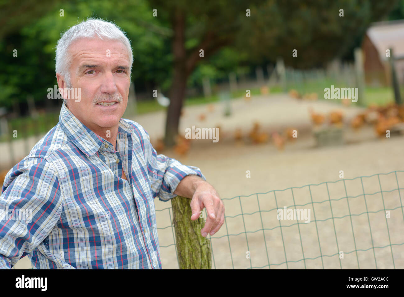 Farmer stood by chicken run Stock Photo Alamy