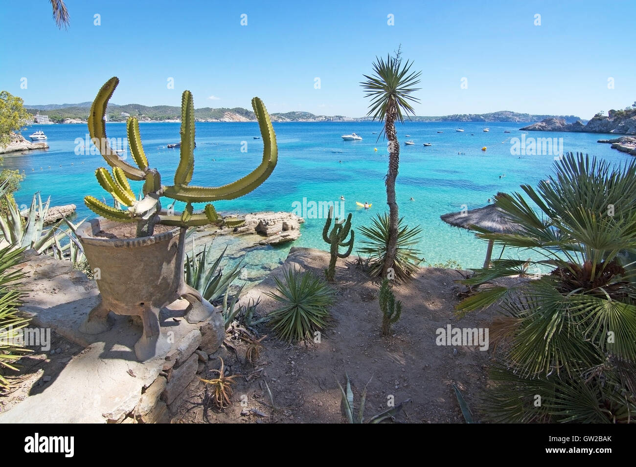 Cactus garden and green water beach on a sunny day on September 6, 2016 in  Mallorca, Spain Stock Photo - Alamy