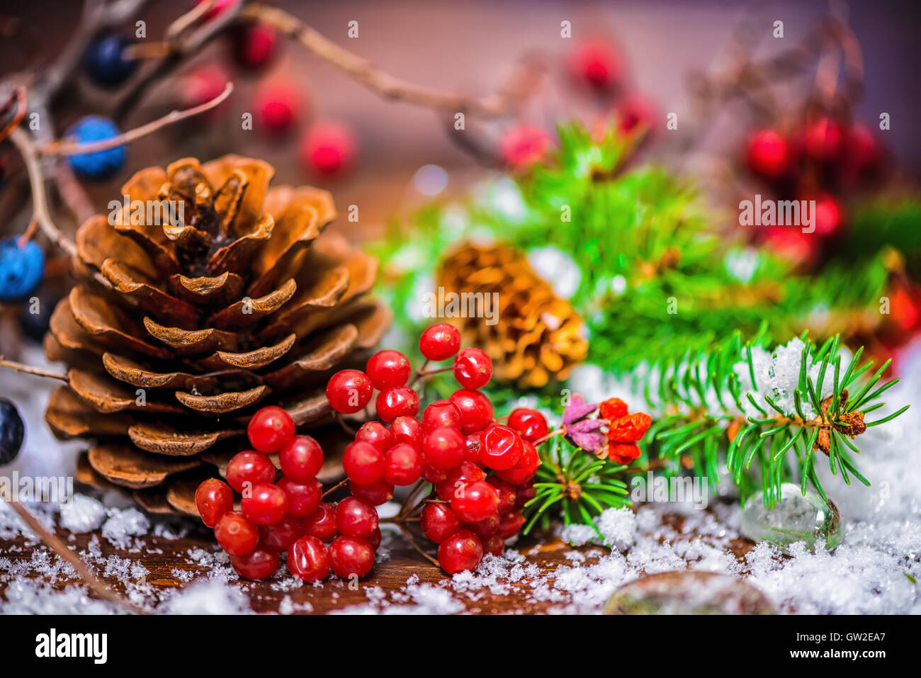 Thanksgiving holiday greeting card with autumn fruit, apple, nuts, cones, berries, fir tree and snow, rural style, close up Stock Photo