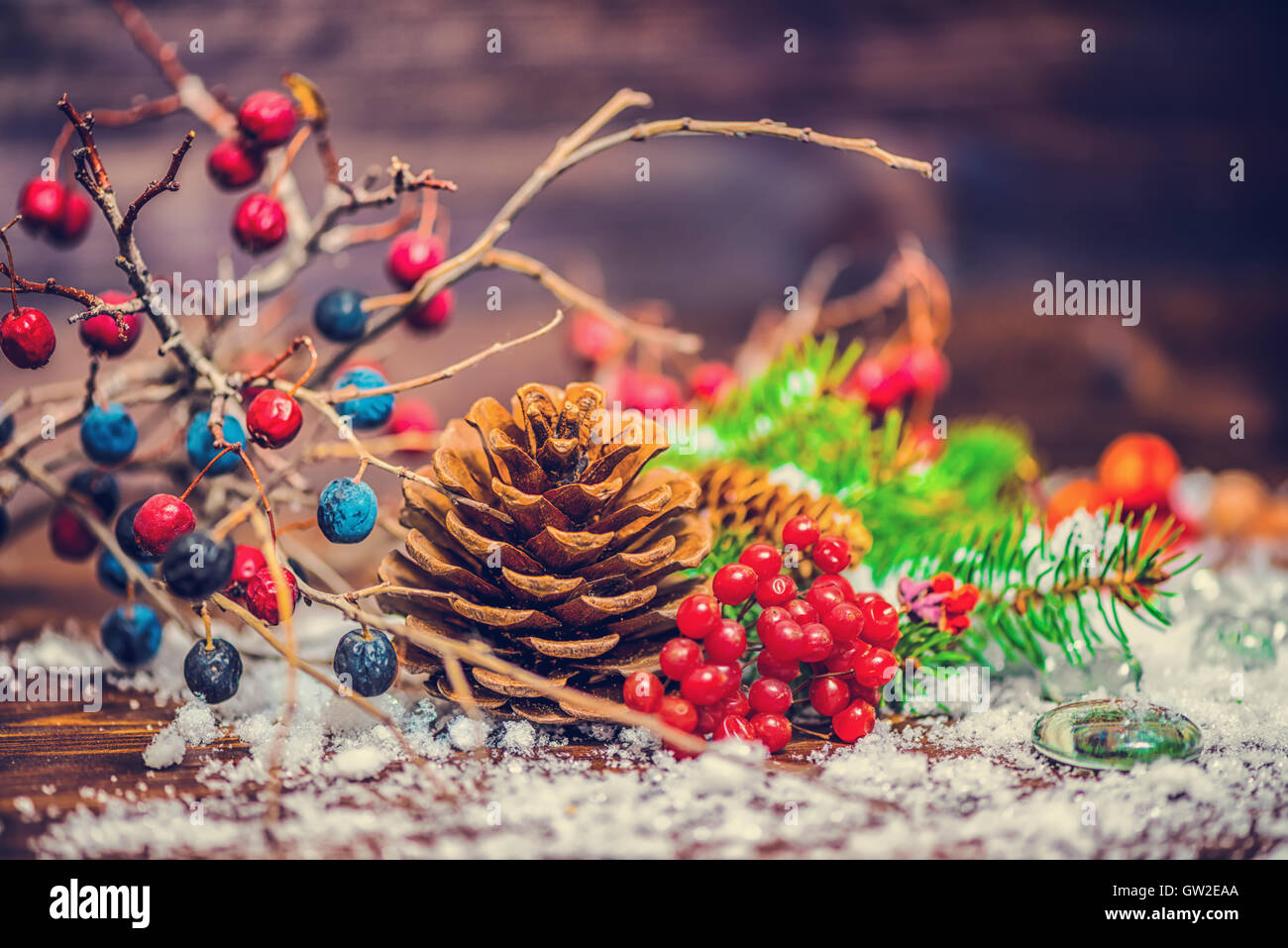 Thanksgiving holiday greeting card with autumn fruit, apple, nuts, cones, berries, fir tree and snow, toned style, close up Stock Photo