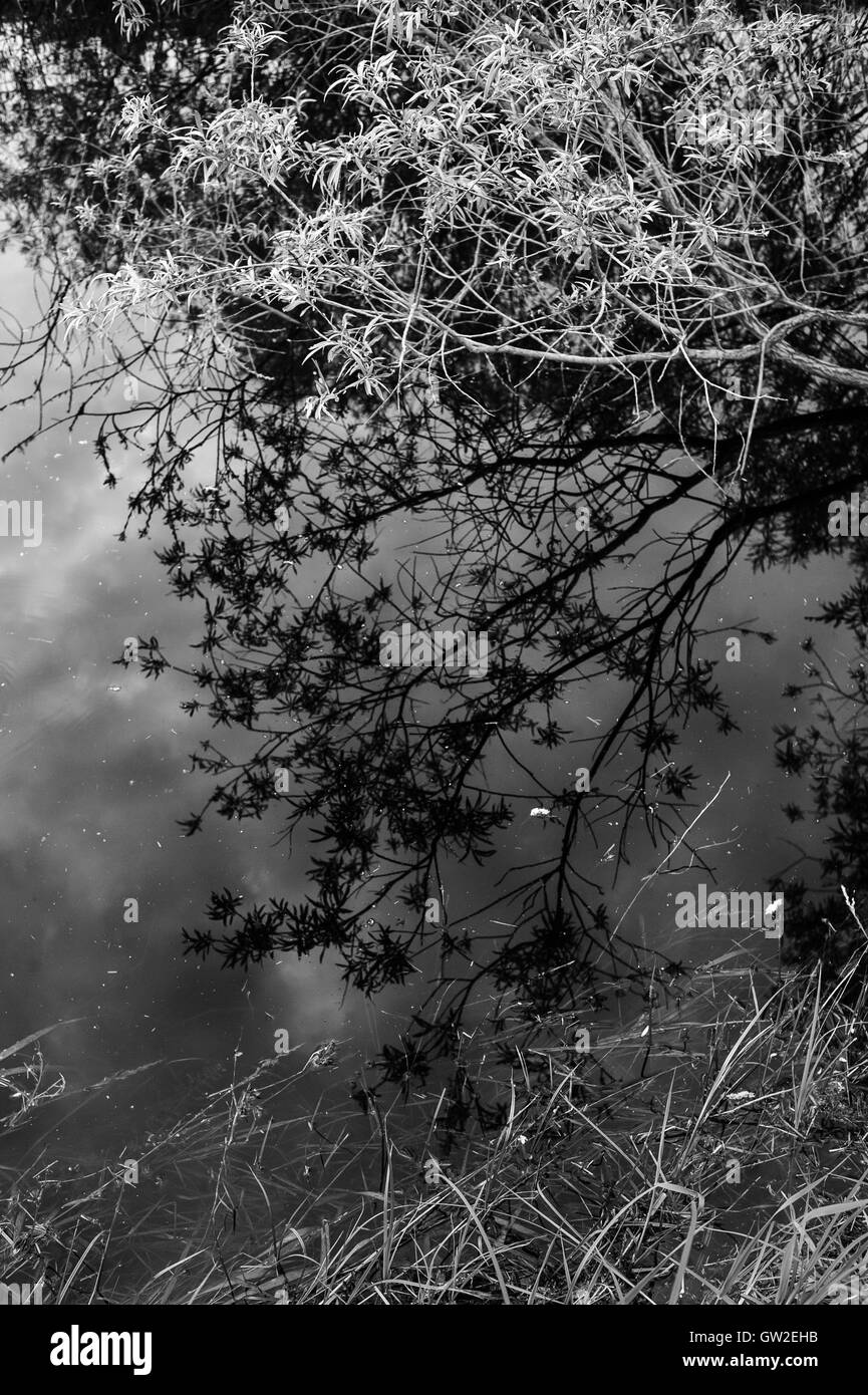 Water surface river reflection Black and White Stock Photos & Images ...