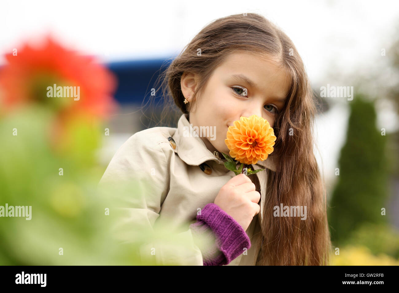 little girl in the autumn park Stock Photo - Alamy