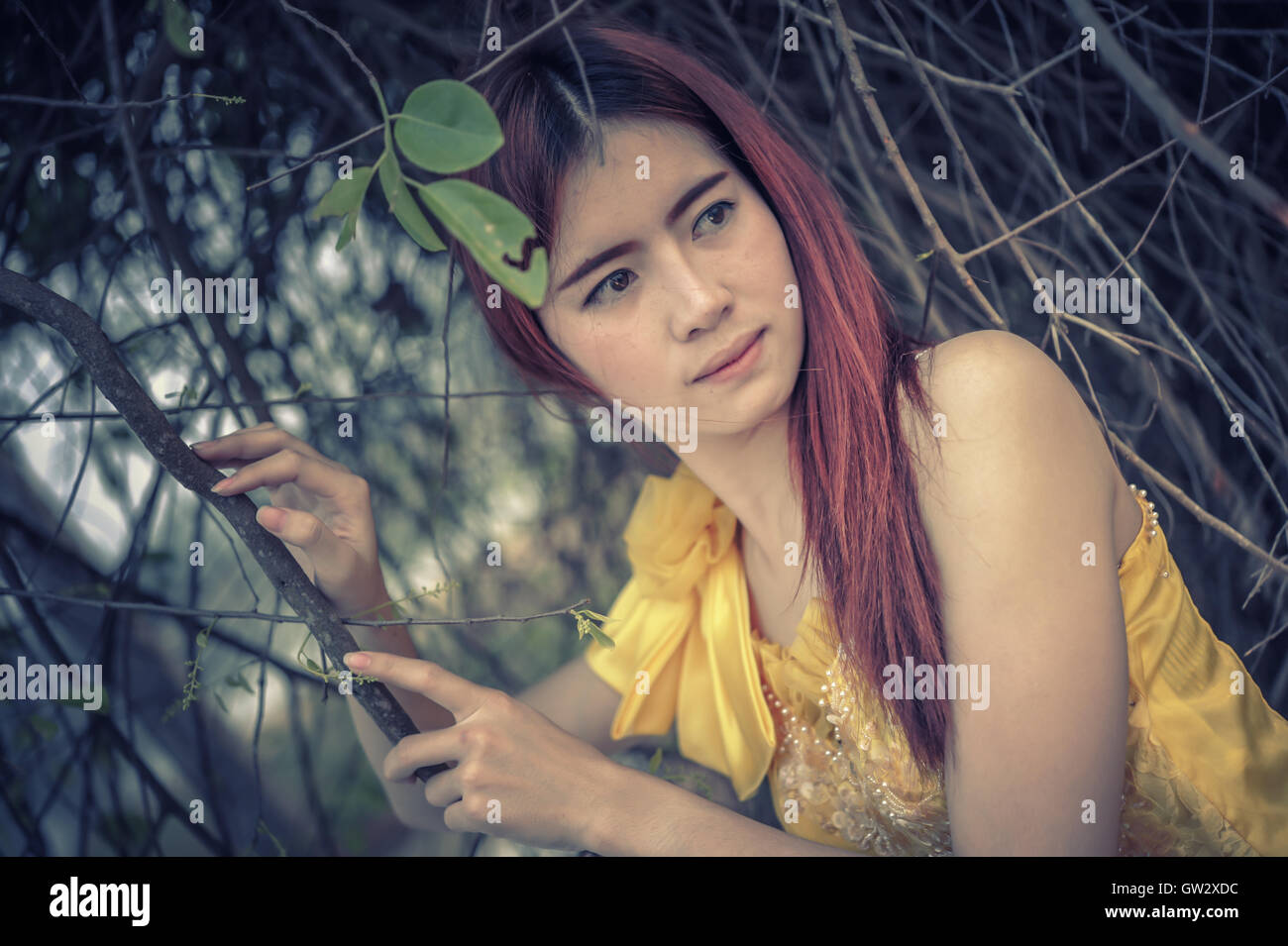 Portrait of Asia Beautiful woman in yellow dress on nature Stock Photo ...