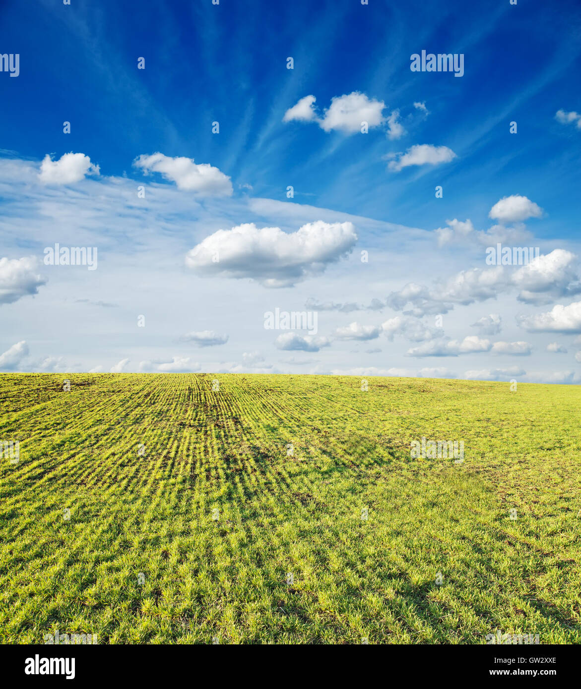 green field under cloudy sky Stock Photo - Alamy