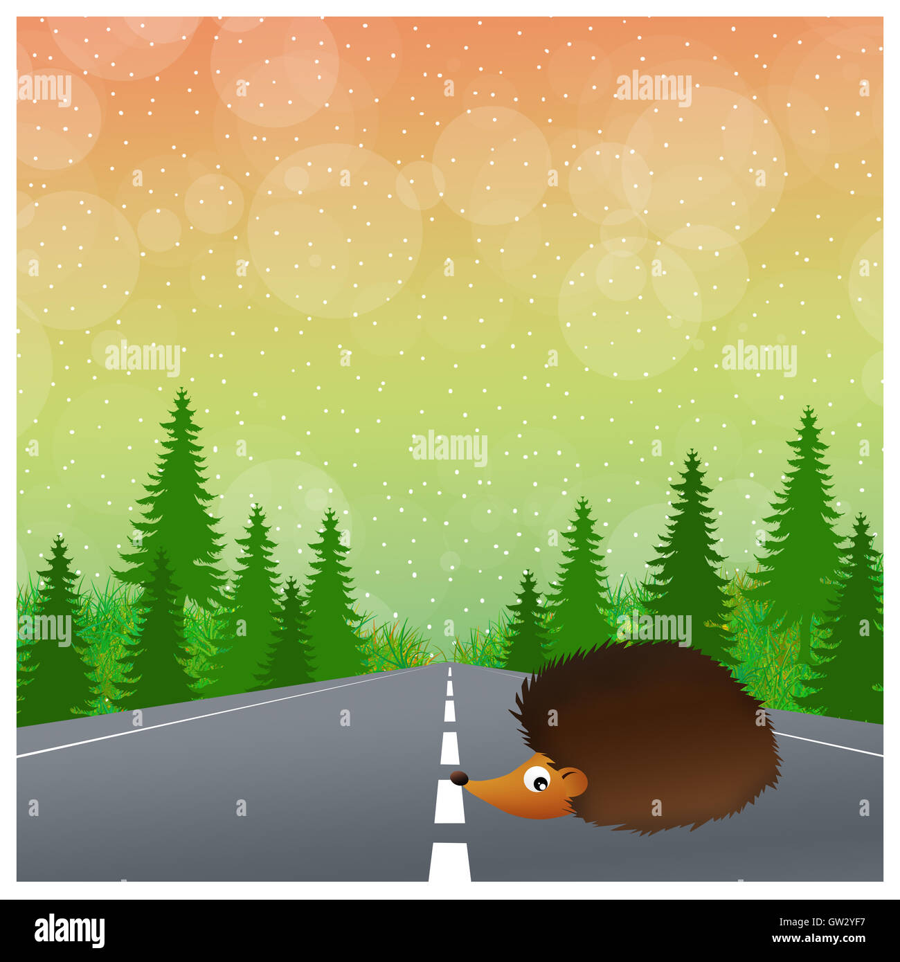 hedgehog on the road Stock Photo Alamy
