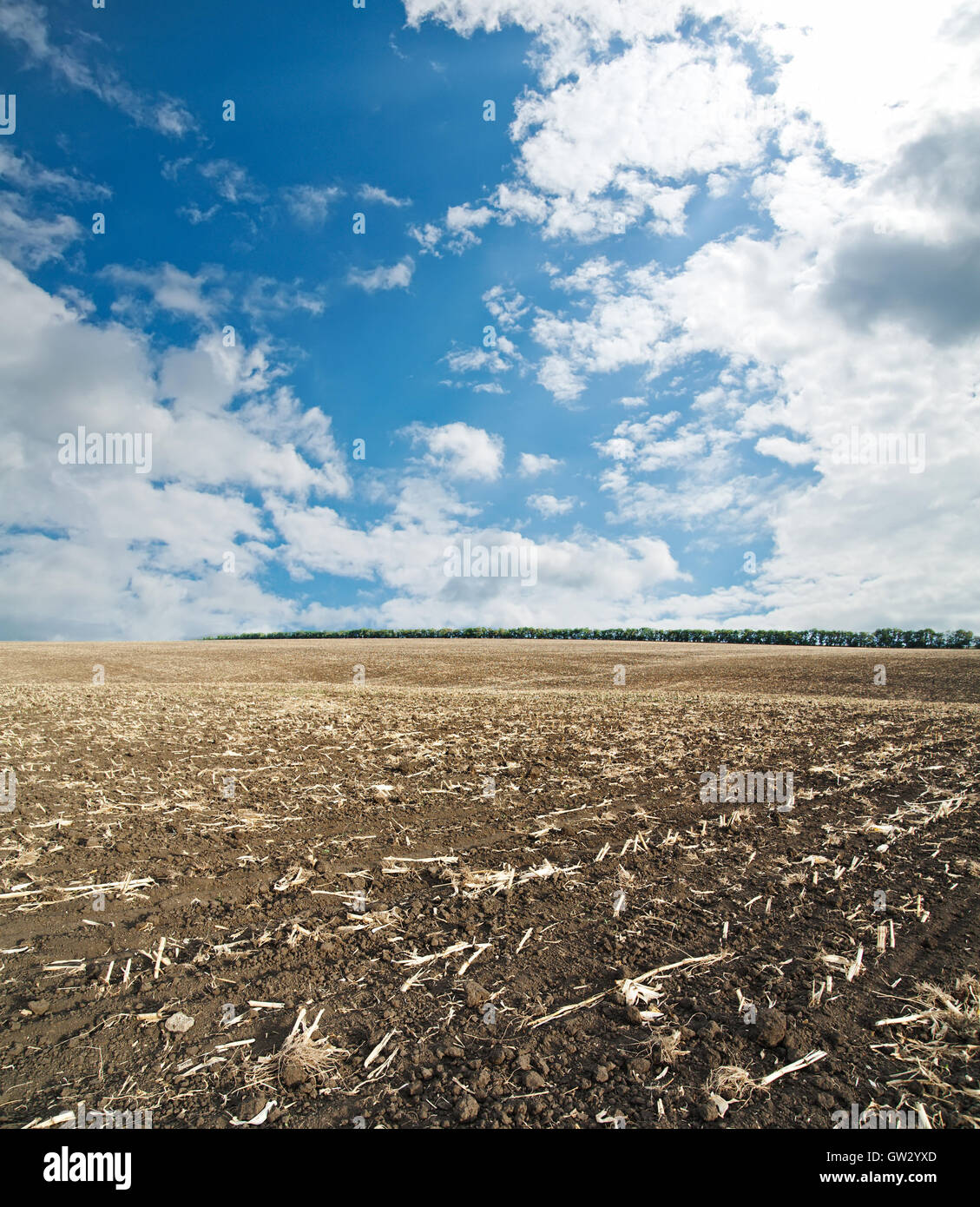black ploughed field under blue cloudy sky after harvesting Stock Photo ...