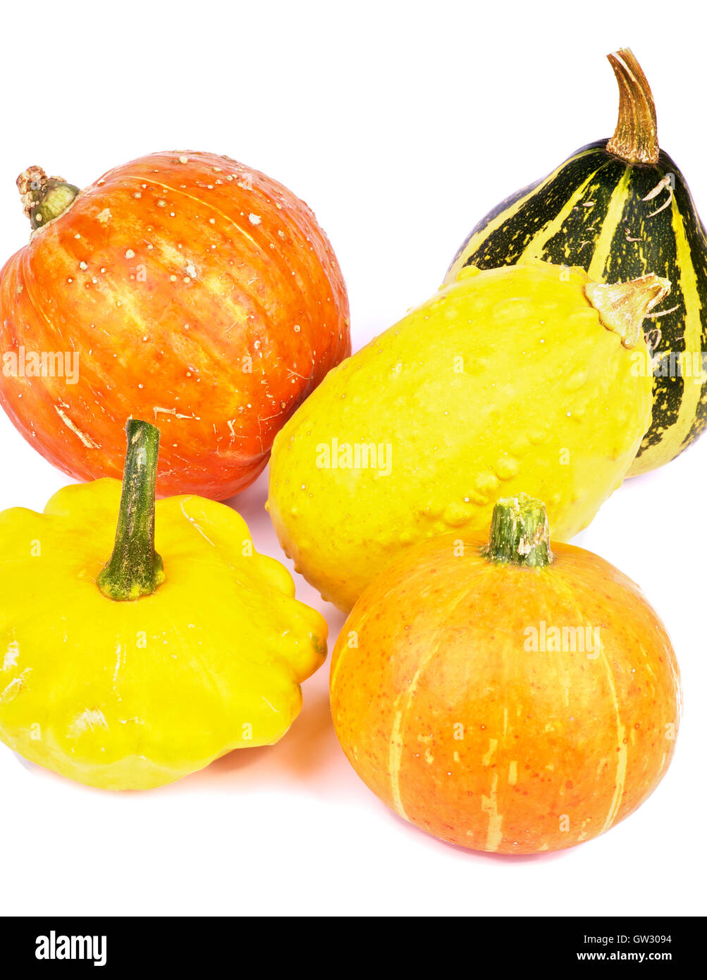 Carnival squash Cut Out Stock Images & Pictures Alamy