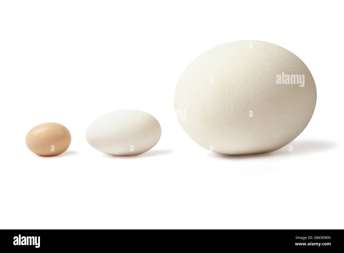 Thre eggs lined Stock Photo