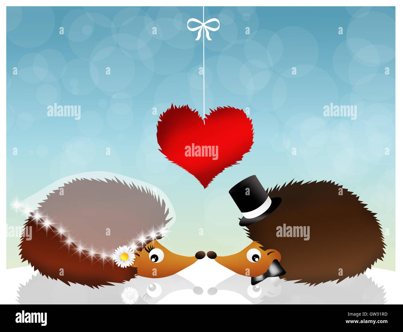hedgehogs in love Stock Photo Alamy