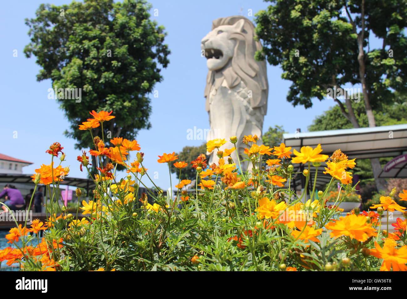 Merlion statue in Sentosa Island Singapore Stock Photo