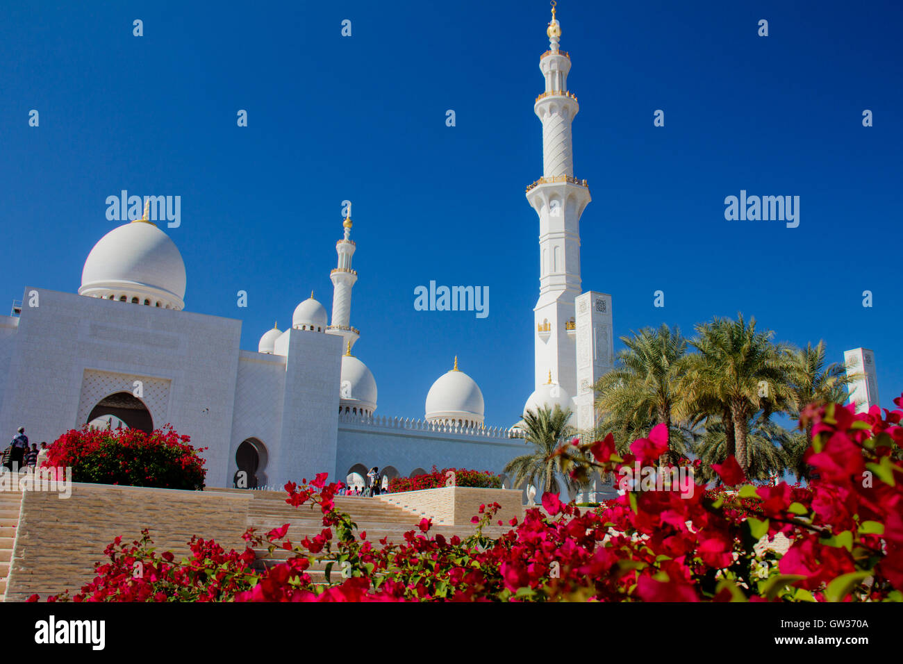 The great marble mosque in Abu Dhabi Stock Photo Alamy