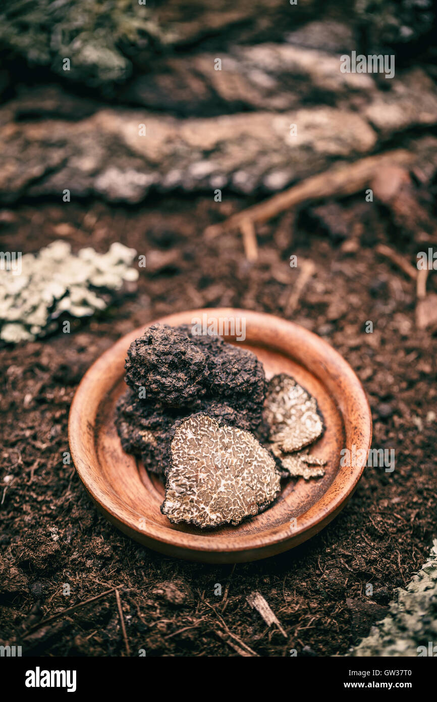 Delicacy mushroom black truffle in wooden plate Stock Photo