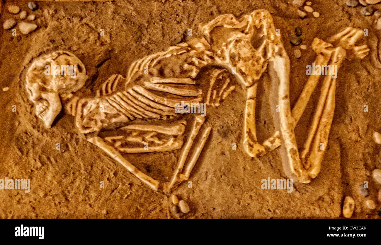 skeleton of figure lying in position Roman period,Sicily,Italy Stock Photo