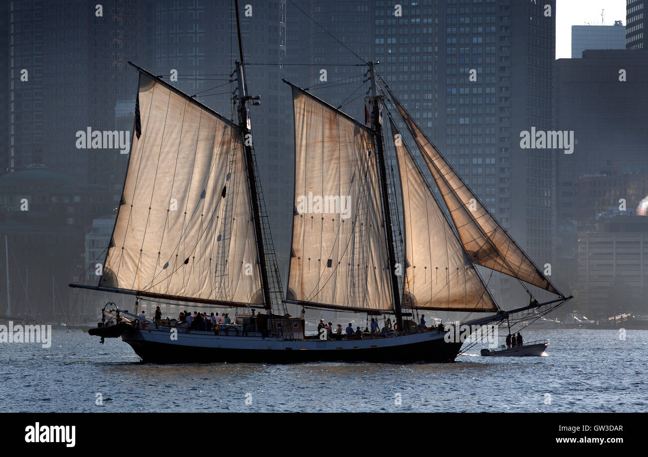 Sail boat, Boston Harbor and city skyline, Boston, Massachusetts Stock