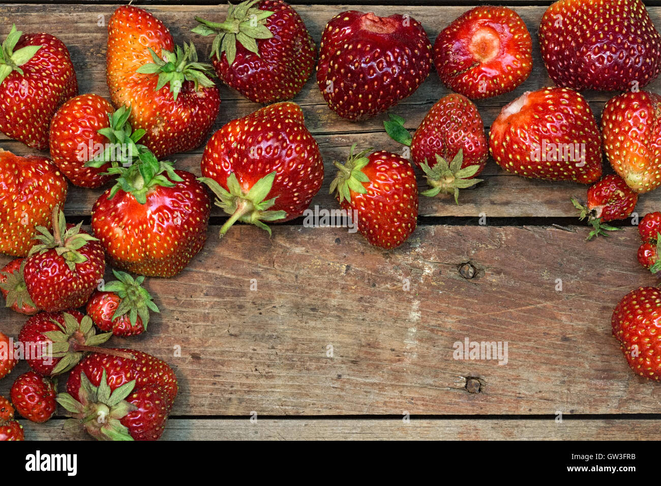 Rough strawberries hi-res stock photography and images - Alamy