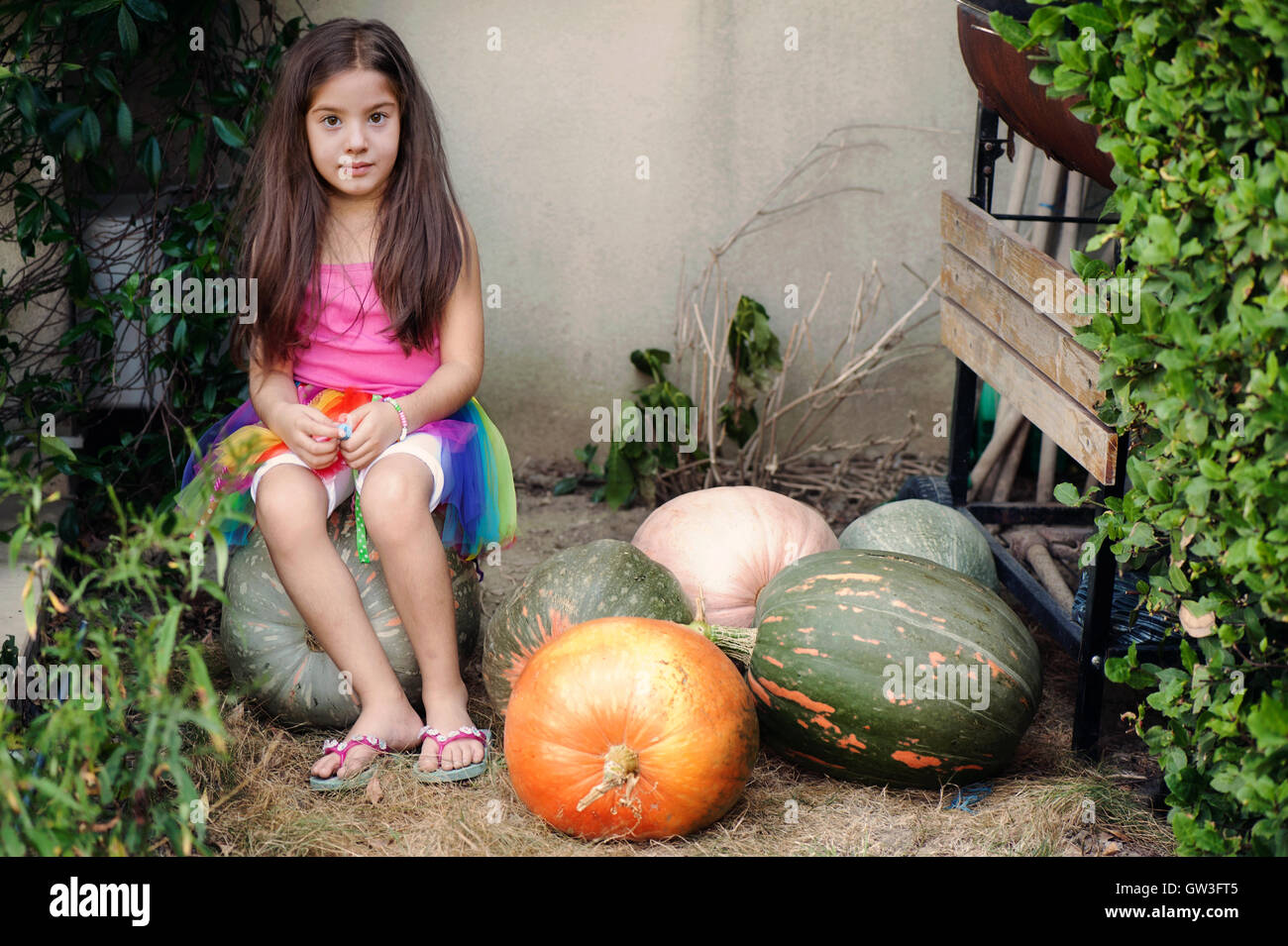 Little girl sitting on pumpkin Stock Photo - Alamy