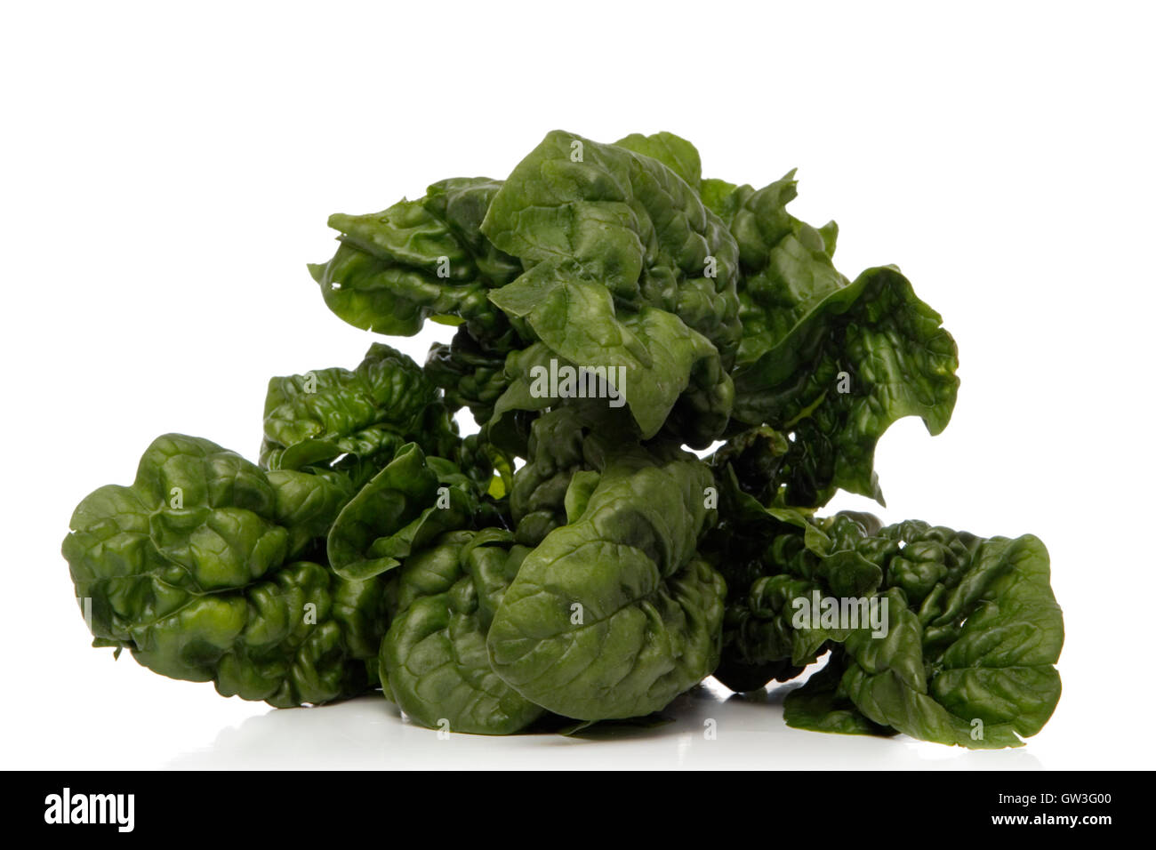 fresh spinach leaves over white background Stock Photo - Alamy