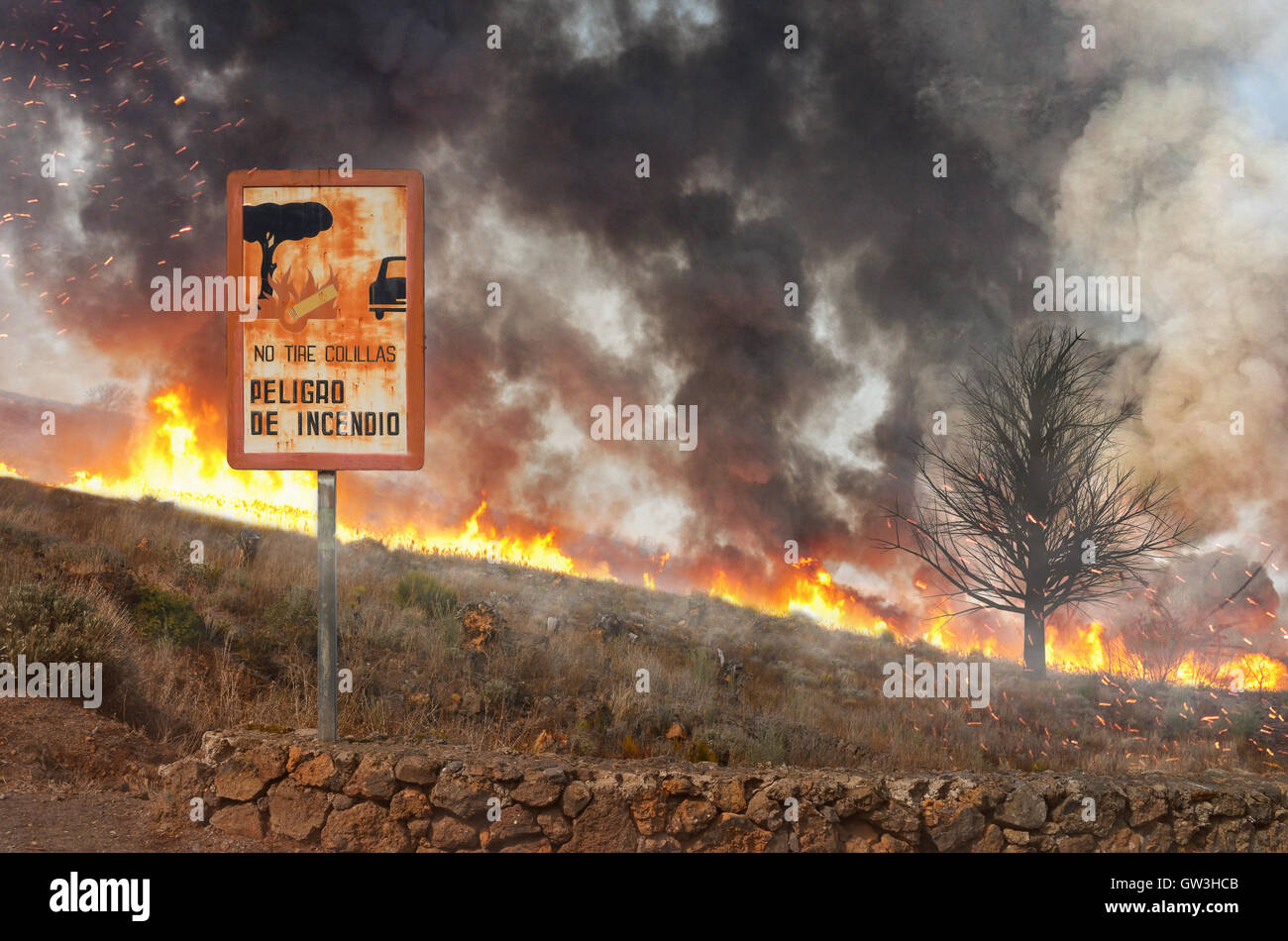 forest fire and a warning sign in nature Stock Photo