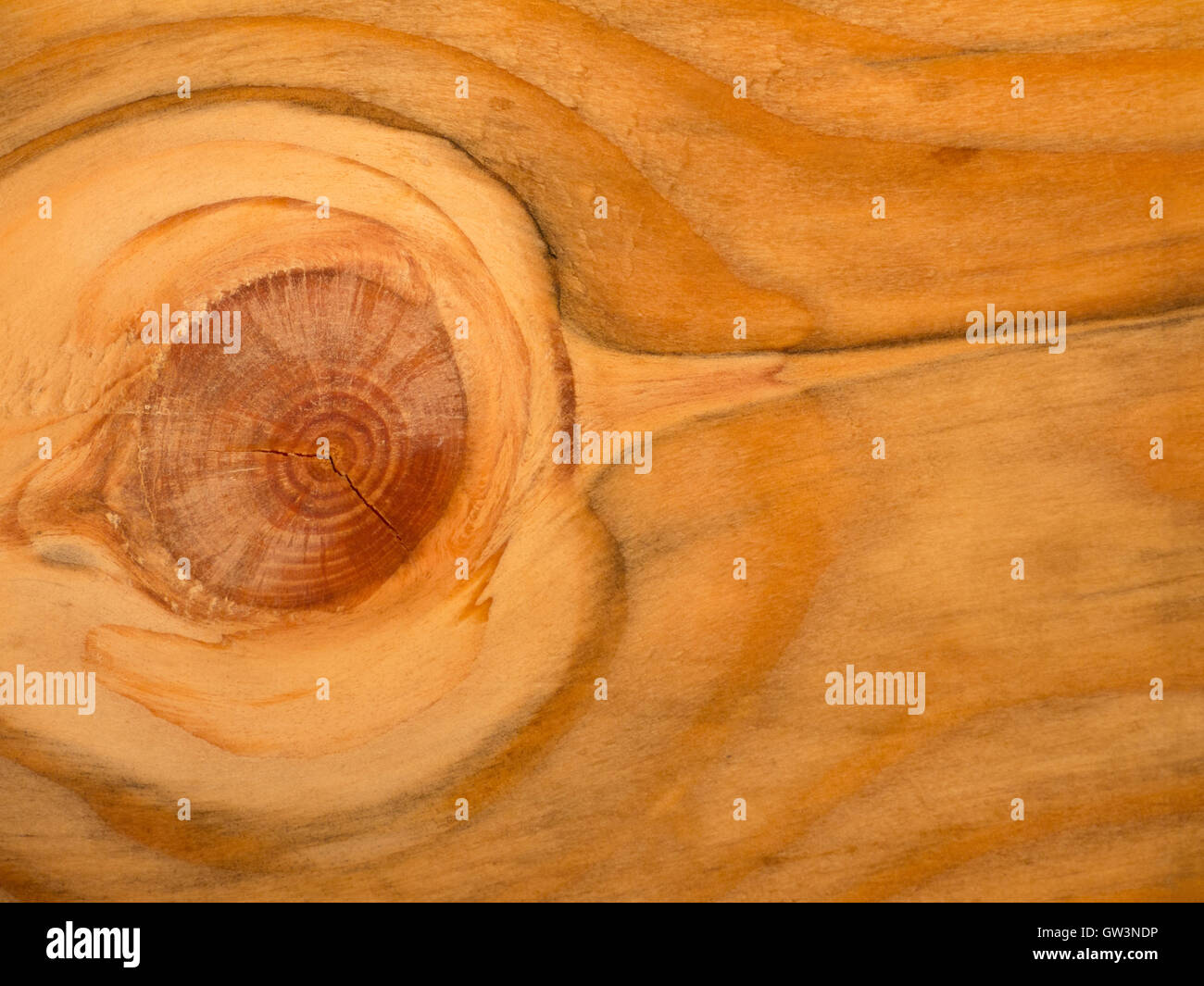 Large knot in the pine wooden plank Stock Photo