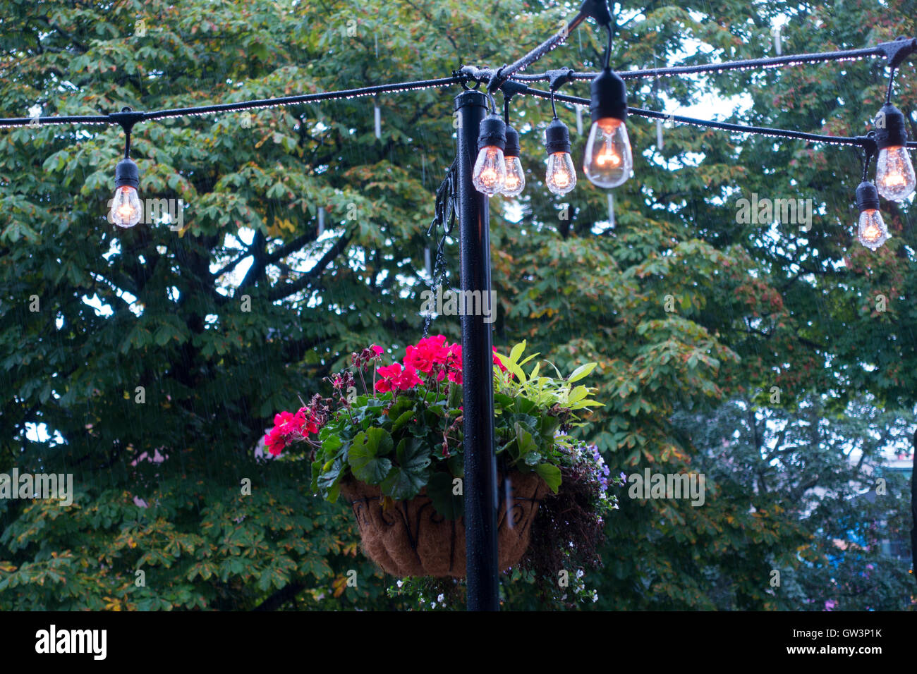 light bulbs in rain Halifax Nova Scotia Stock Photo Alamy